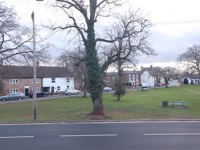 Picture 9
